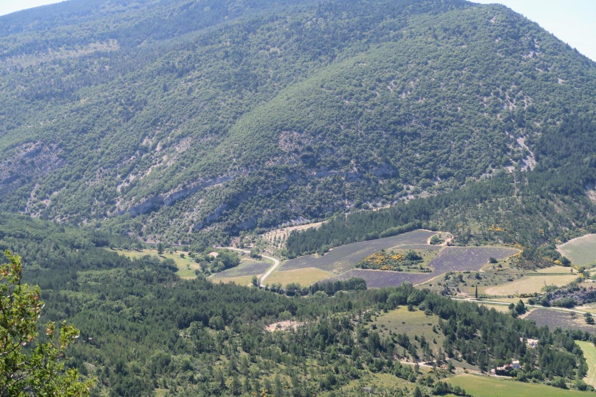 La Terrasse D'Olea, Au Coeur Du Village Buis-les-Baronnies Εξωτερικό φωτογραφία